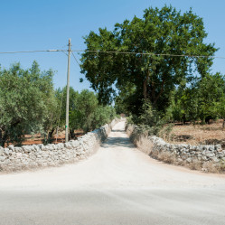 La strada che porta a Tre Casiedde